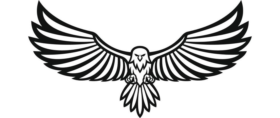 eagle-design-for-logo-icon-vector