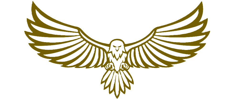 eagle-design-for-logo-icon-vector